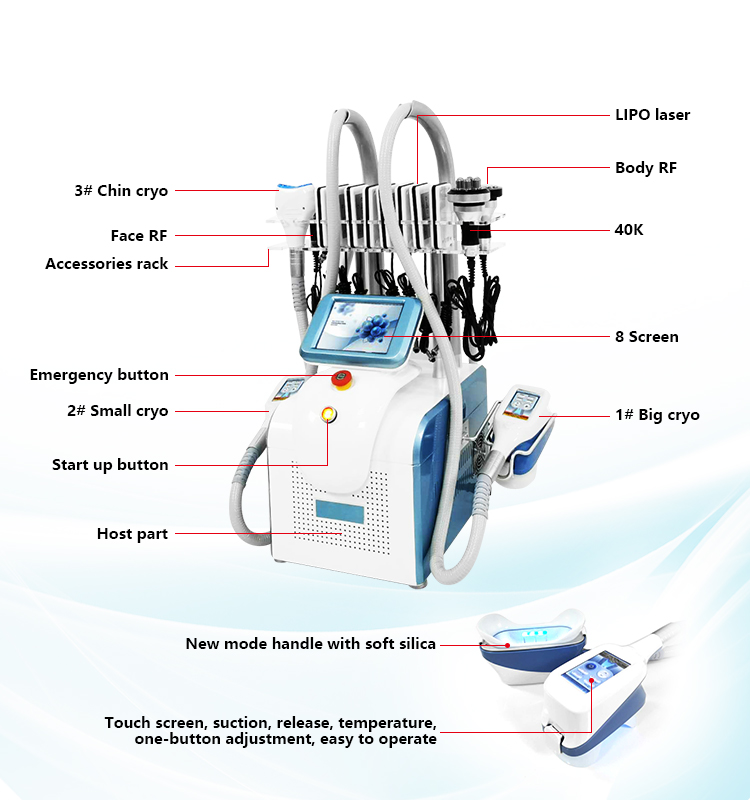 fat freeze lose weight