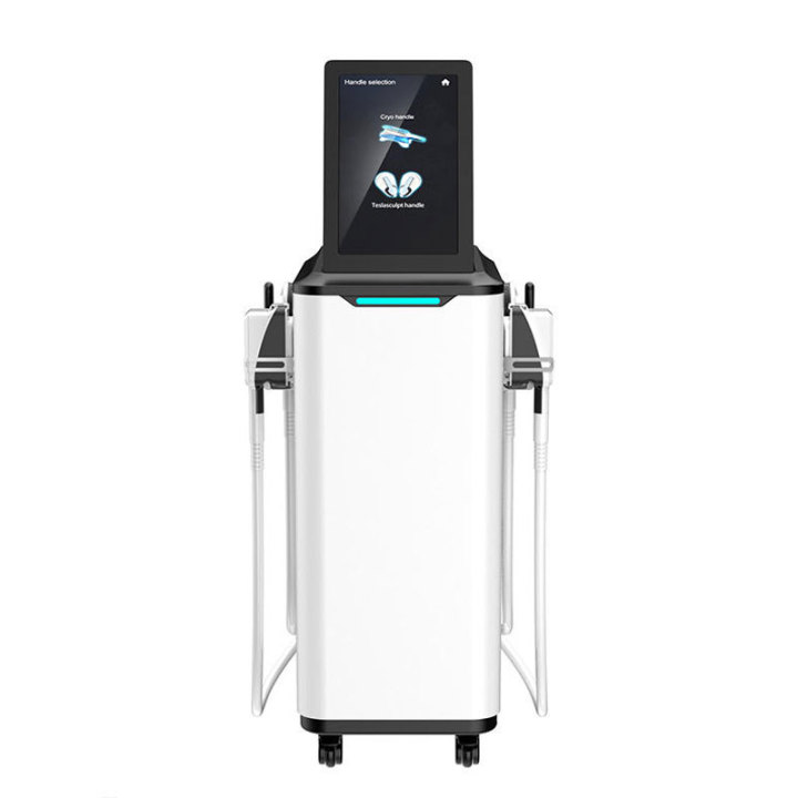 Cryotherapy ems slimming machine