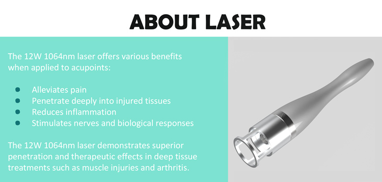 2 in 1 laser shockeave