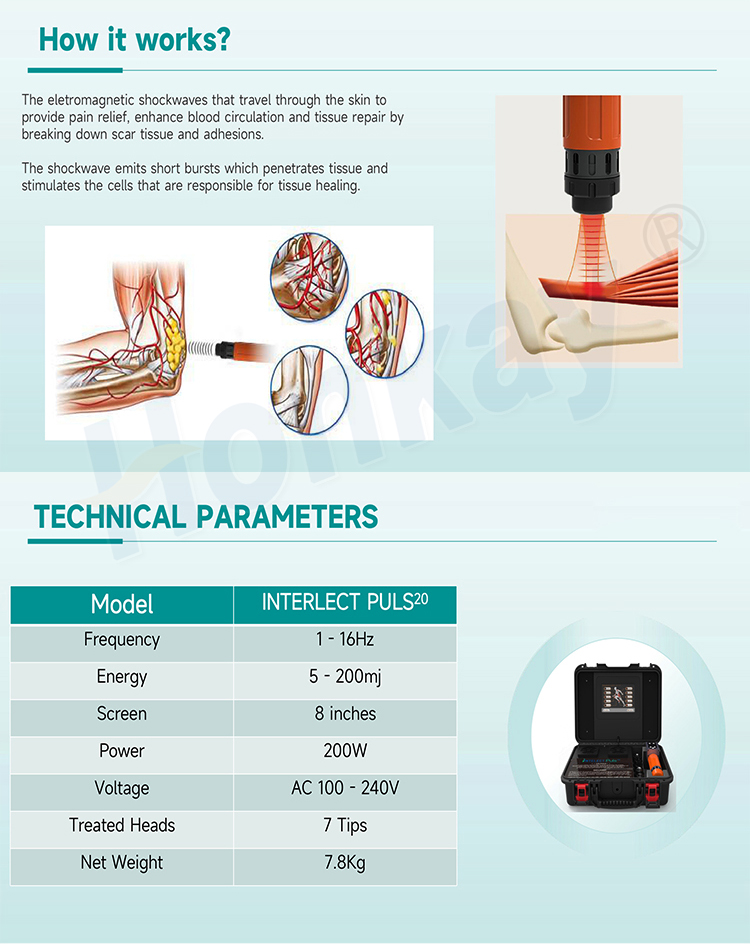 intelect puls20