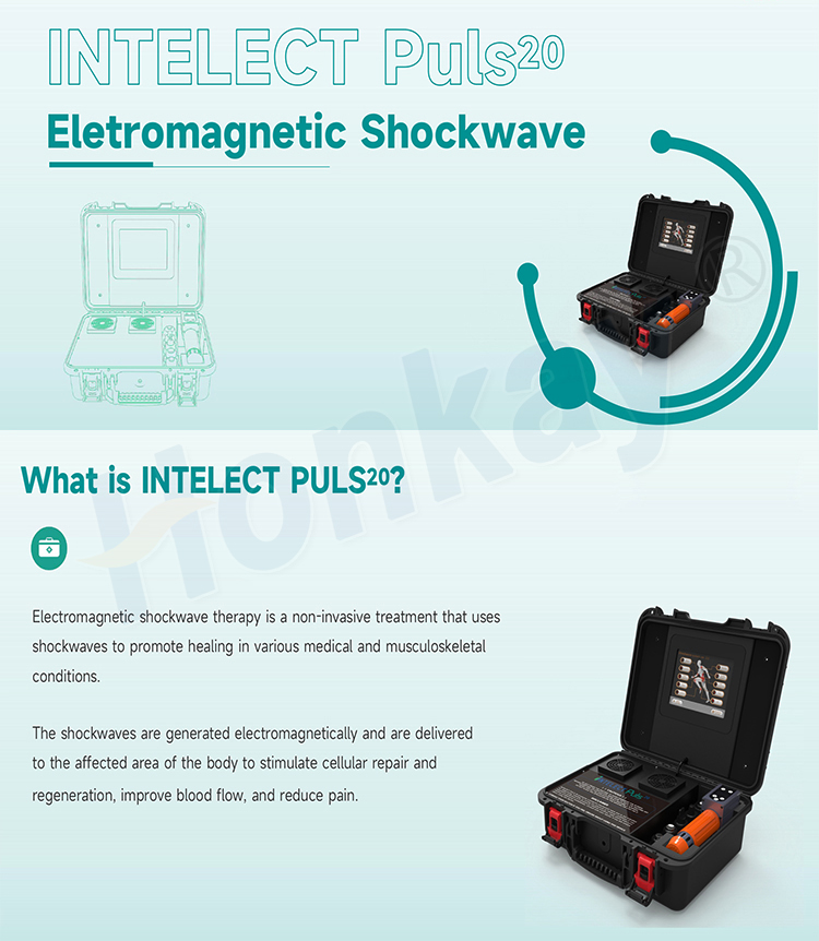 intelect puls20