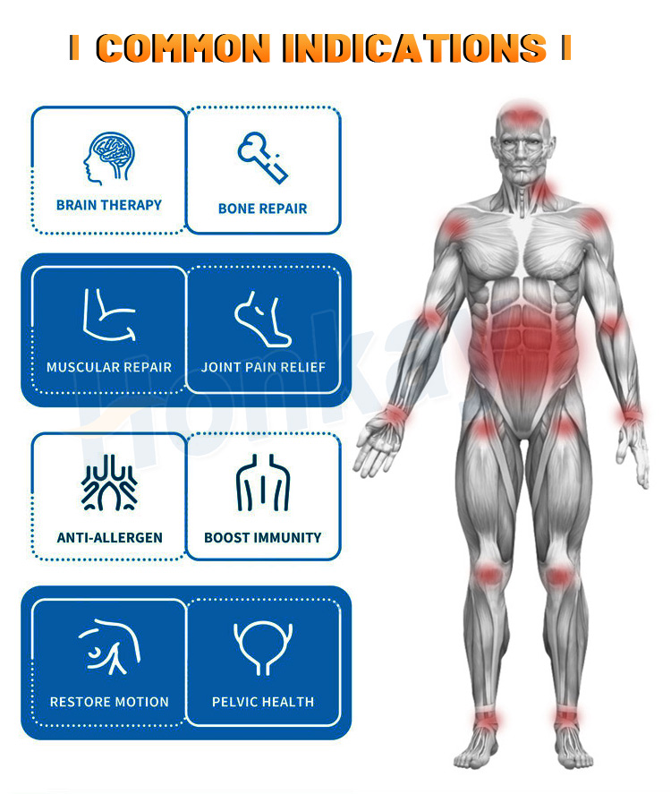 physio magnetic therapy