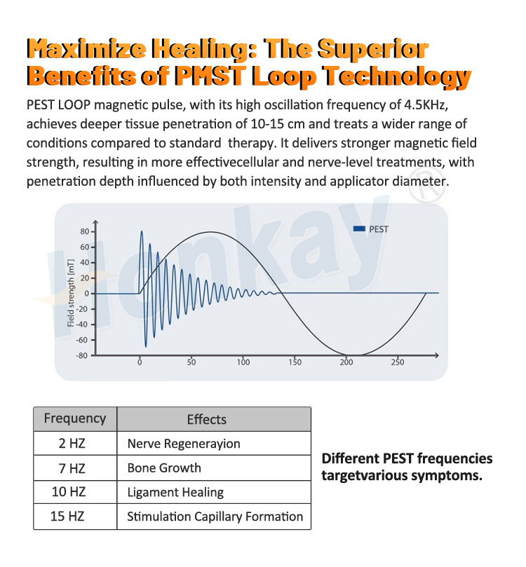 physio magnetic therapy