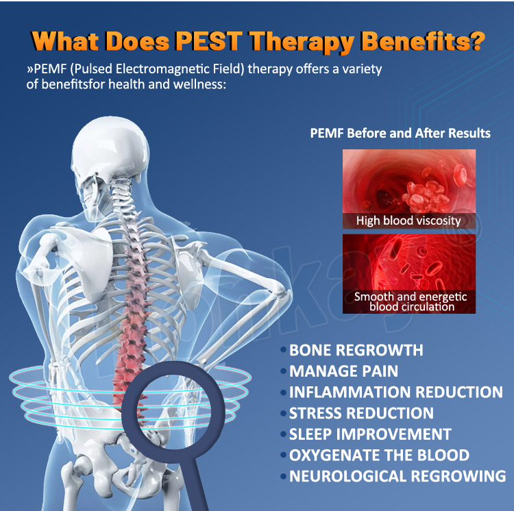 physio magnetic therapy